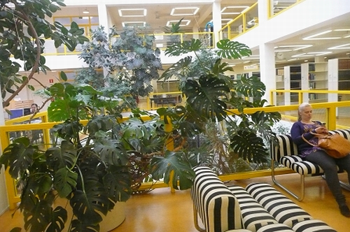 Universiteto biblioteka. Nuotr. Aldonos Šiaulienės